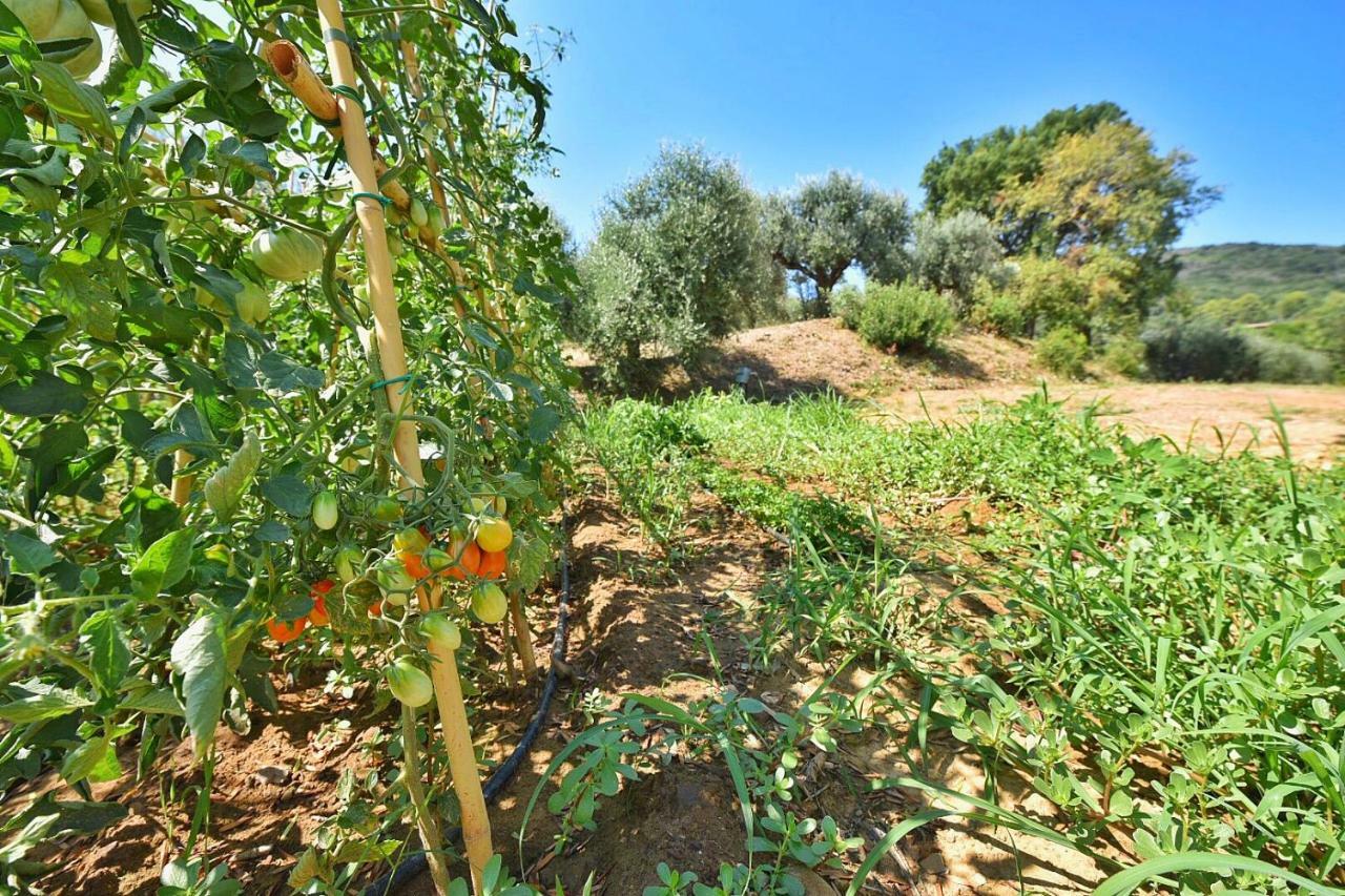 Il Molino Villa Порто Ерколе Екстериор снимка