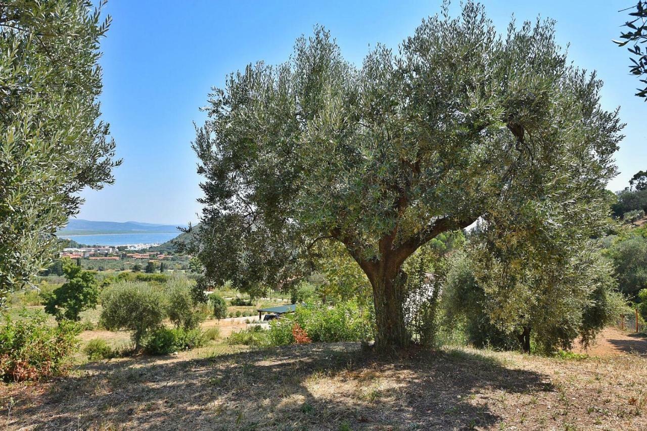 Il Molino Villa Порто Ерколе Екстериор снимка